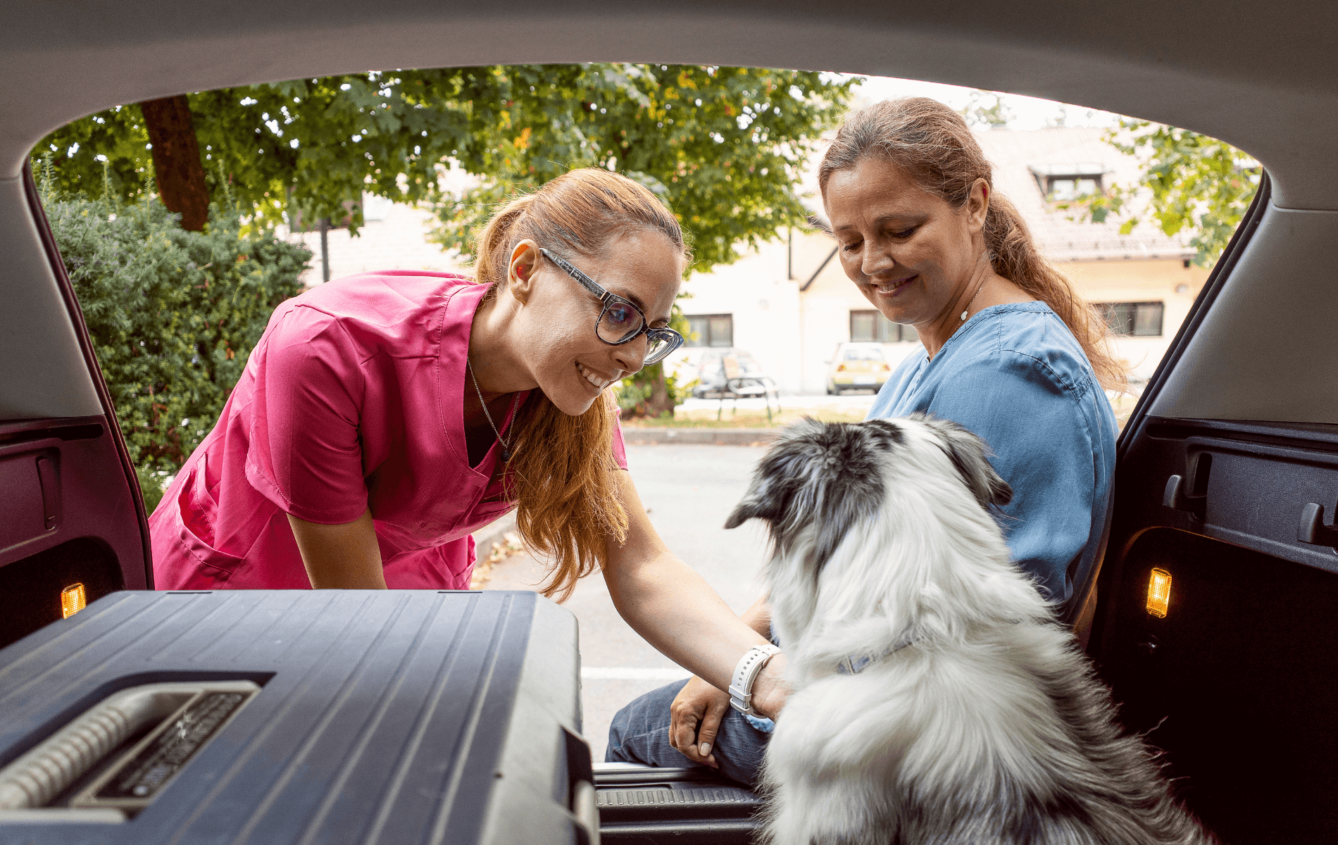 A person petting a dog in a car